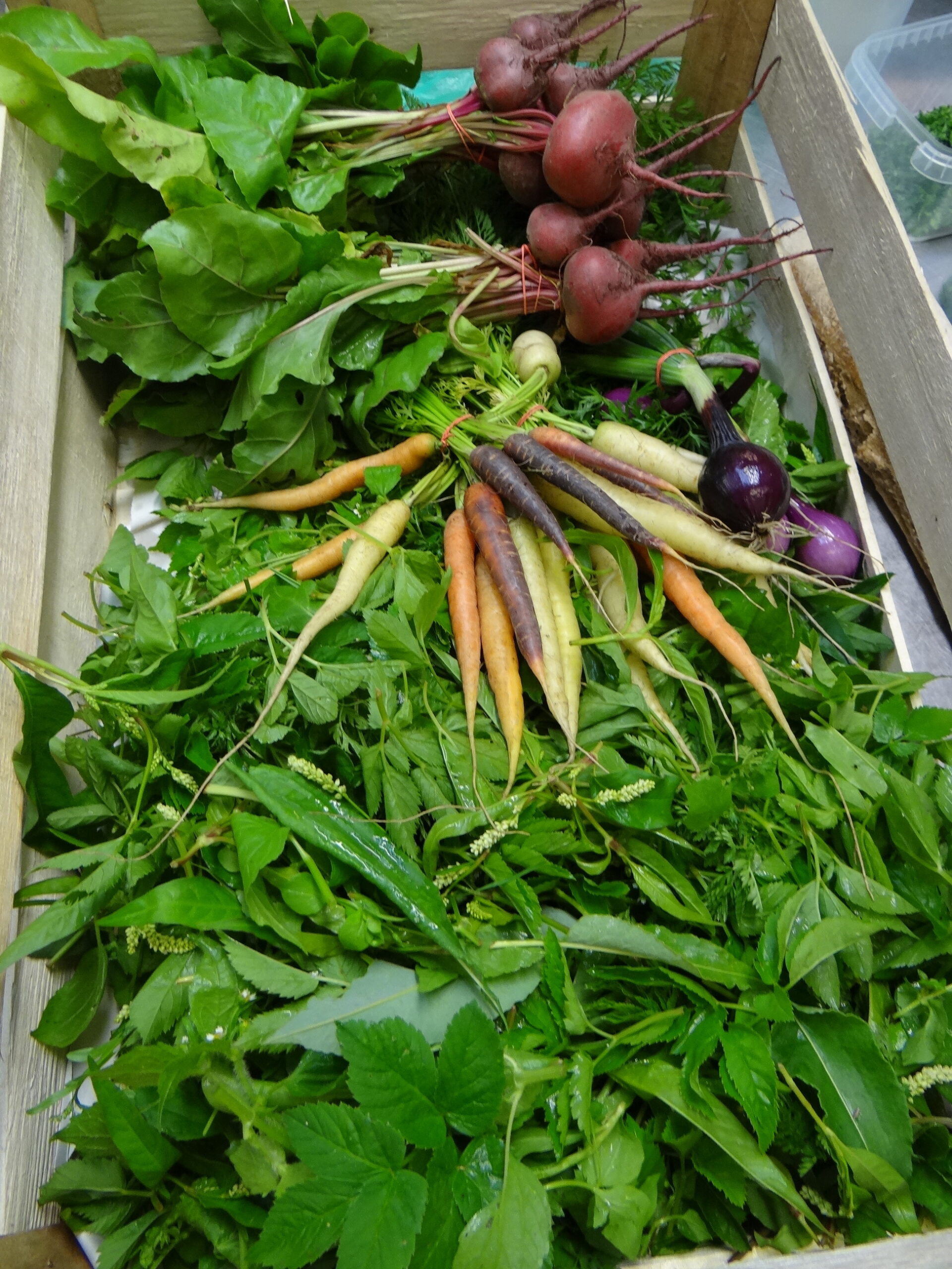 Kochworkshop Holsteiner Frühlingsküche