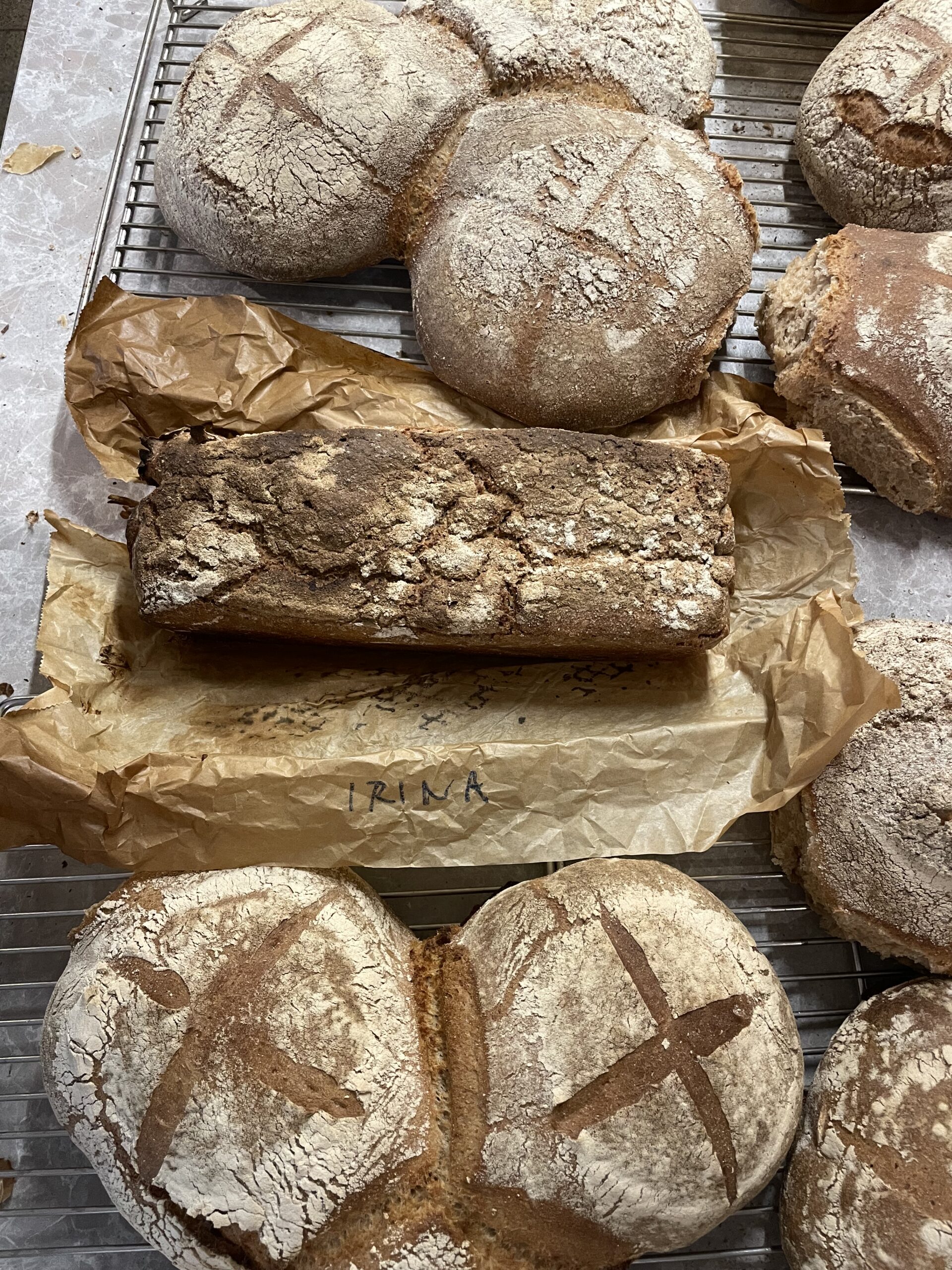 Bio-Sauerteigbrotbackworkshop