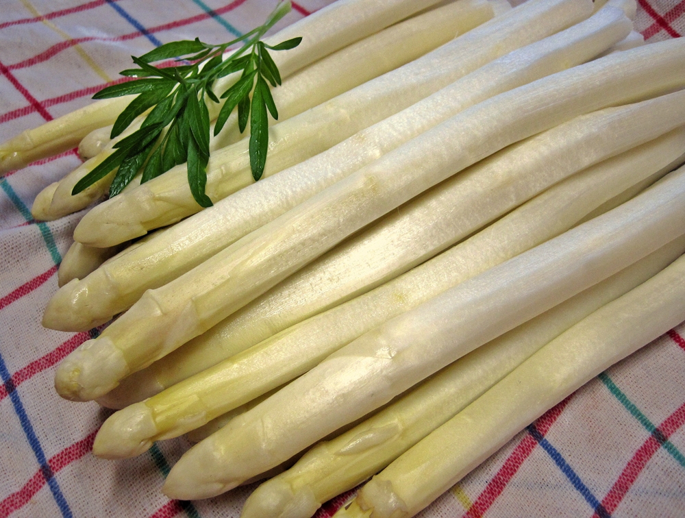 Spargel, Lamm und Rhabarber Workshop